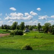 zdjęcie nr 