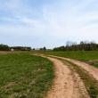 zdjęcie nr 