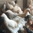 zdjęcie nr 
