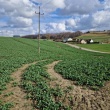 zdjęcie nr 