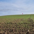 zdjęcie nr 
