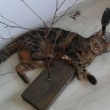 zdjęcie nr 