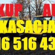 zdjęcie nr 
