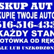 zdjęcie nr 