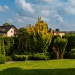 zdjęcie nr 