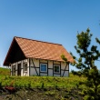 zdjęcie nr 