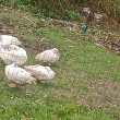 zdjęcie nr 