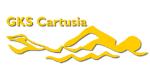 Sekcja pływacka CARTUSIA