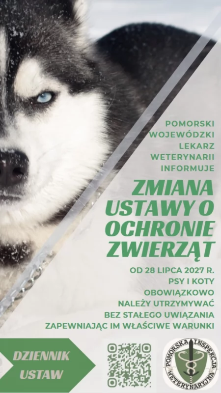 Nowe obowiązki właścicieli psów i kotów. Ważne zmiany od 28 lipca 2027 roku