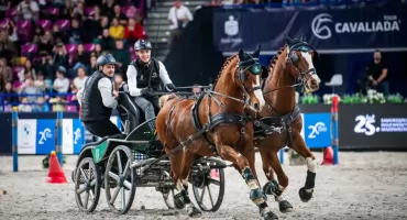 Aleksander Fularczyk triumfuje na Cavaliadzie w Warszawie