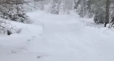 Nawet 30 cm śniegu. IMGW wydał ostrzeżenia dla powiatu kartuskiego