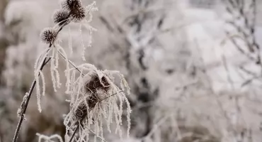 IMGW ostrzega przed silnym mrozem. Temperatury spadną nawet do –17°C