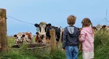 Nowe środki dla rolników. Dofinansowanie do 85% na rozwój zagród edukacyjnych