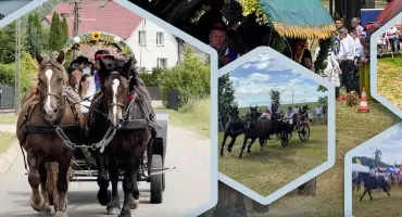 Konie, zawody i zabawa – wszystko to podczas Wielkiej Parady Wozów i Bryczek w Szymbarku