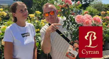 Lato to dobry czas, by tchnąć w ogród nowe życie