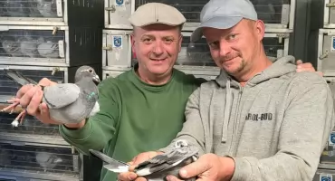 Instynkt, szybkość i 195 kilometrów do pokonania. Tak rywalizowały młode gołębie