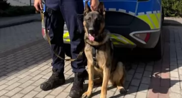 BARY zasilił kartuską policję. Nowy czworonożny funkcjonariusz już w służbie